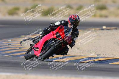 media/Nov-11-2023-SoCal Trackdays (Sat) [[efd63766ff]]/Turn 11 (955am)/